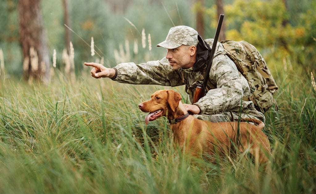 How to Train a Dog to Track Deer?