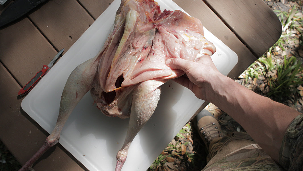 How to Butcher and Preserve a Turkey