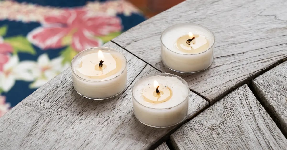 citronella candles as mosquito repellent