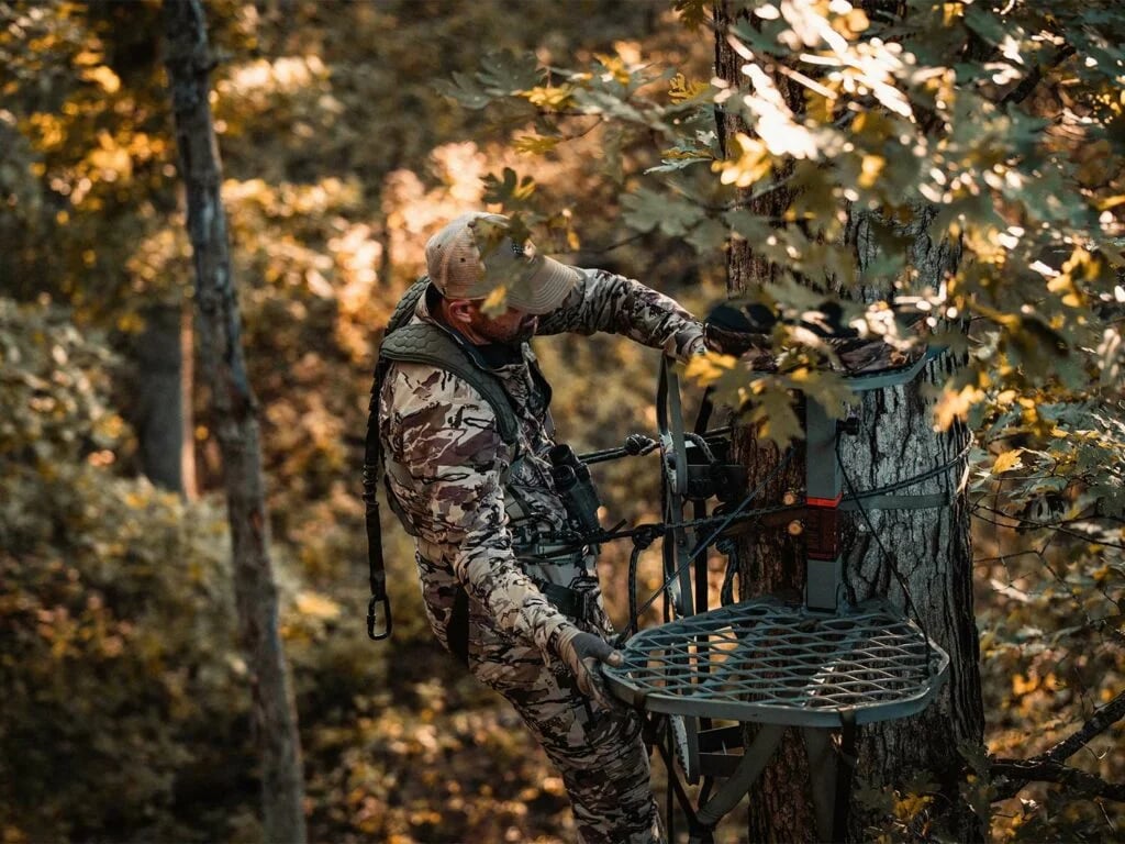 Hunter in a tree